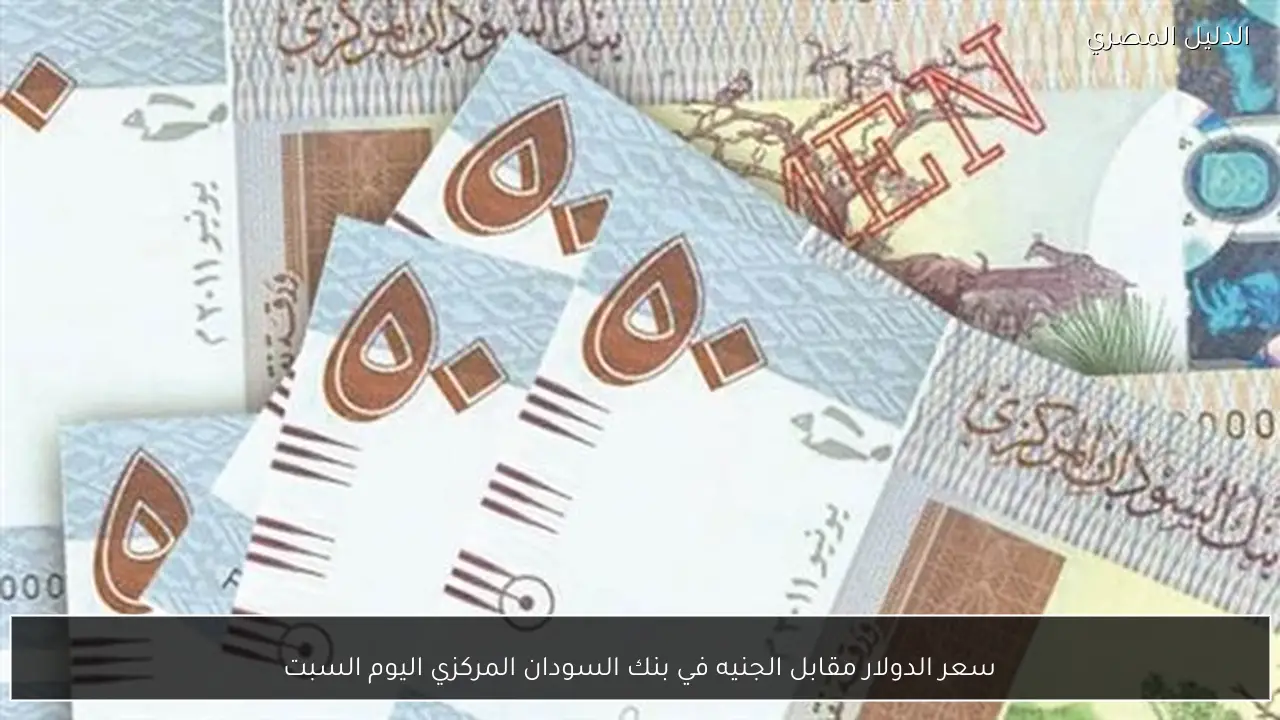سعر الدولار مقابل الجنيه في بنك السودان المركزي اليوم السبت