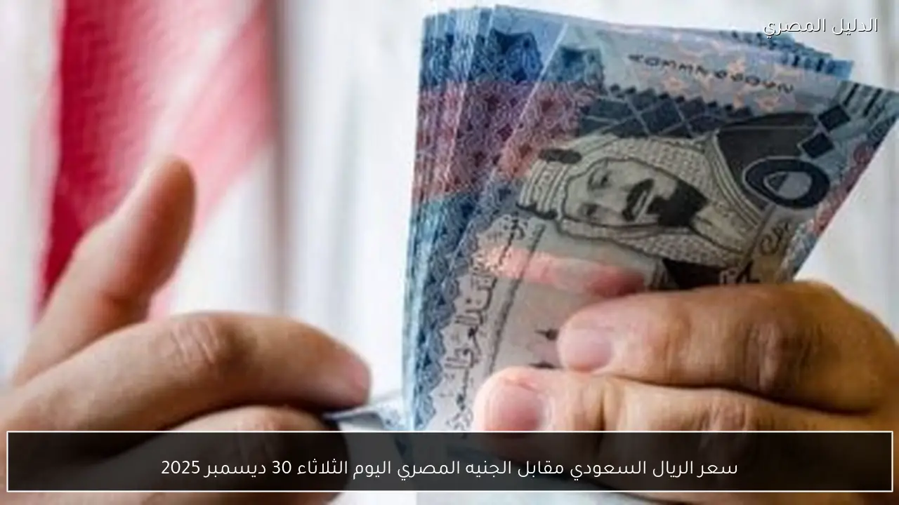 سعر الريال السعودي مقابل الجنيه المصري اليوم الثلاثاء 30 ديسمبر 2025