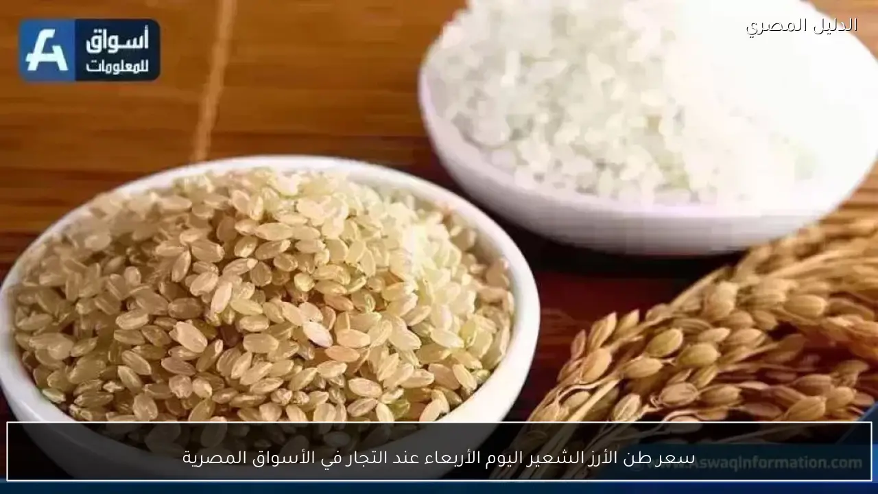 سعر طن الأرز الشعير اليوم الأربعاء عند التجار في الأسواق المصرية