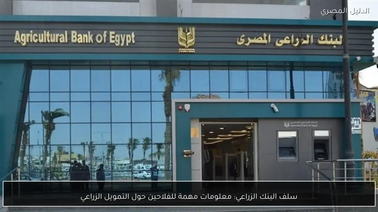سلف البنك الزراعي: معلومات مهمة للفلاحين حول التمويل الزراعي