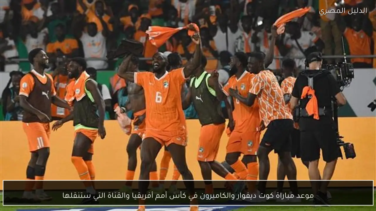 موعد مباراة كوت ديفوار والكاميرون في كأس أمم أفريقيا والقناة التي ستنقلها