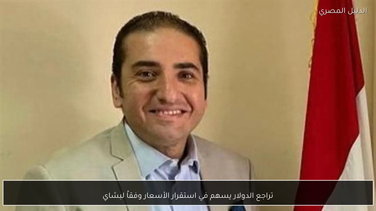 تراجع الدولار يسهم في استقرار الأسعار وفقاً لبشاي - الدليل المصري