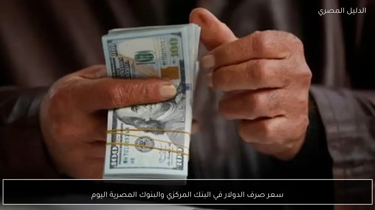 سعر صرف الدولار في البنك المركزي والبنوك المصرية اليوم