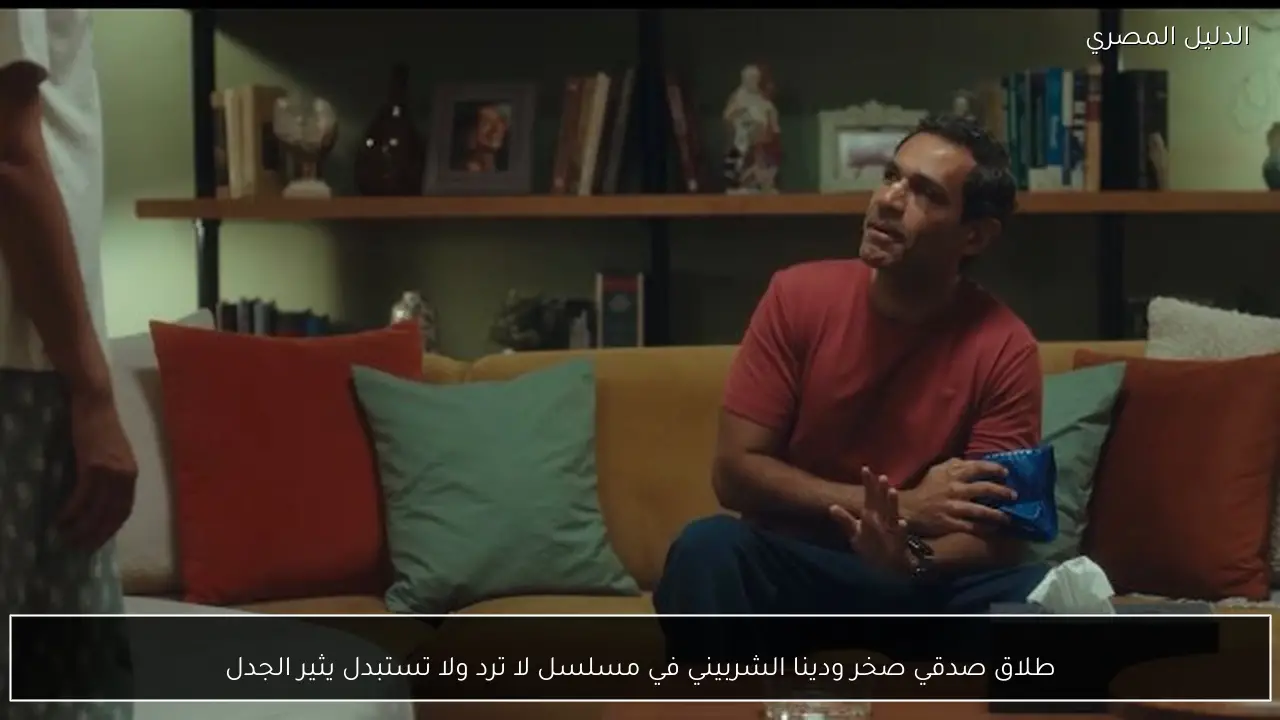 طلاق صدقي صخر ودينا الشربيني في مسلسل لا ترد ولا تستبدل يثير الجدل