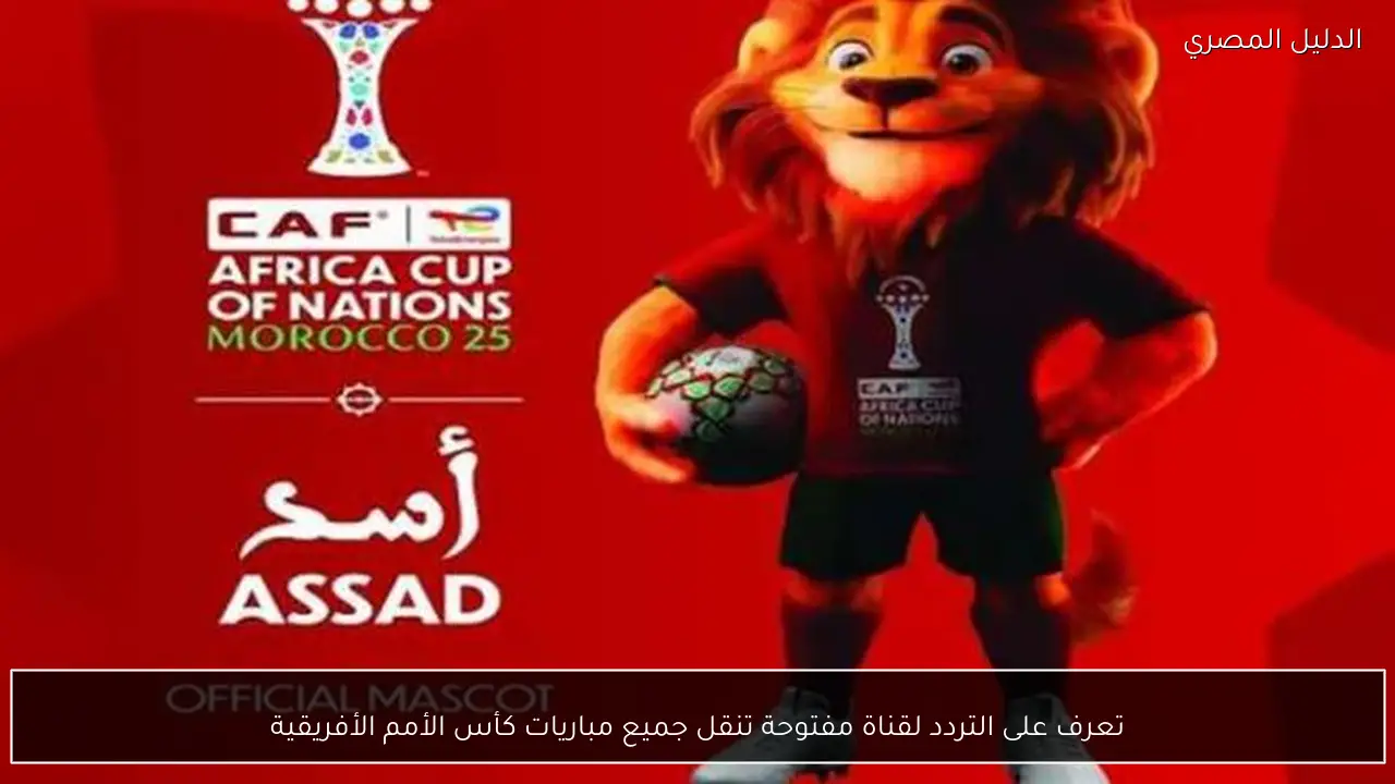 تعرف على التردد لقناة مفتوحة تنقل جميع مباريات كأس الأمم الأفريقية