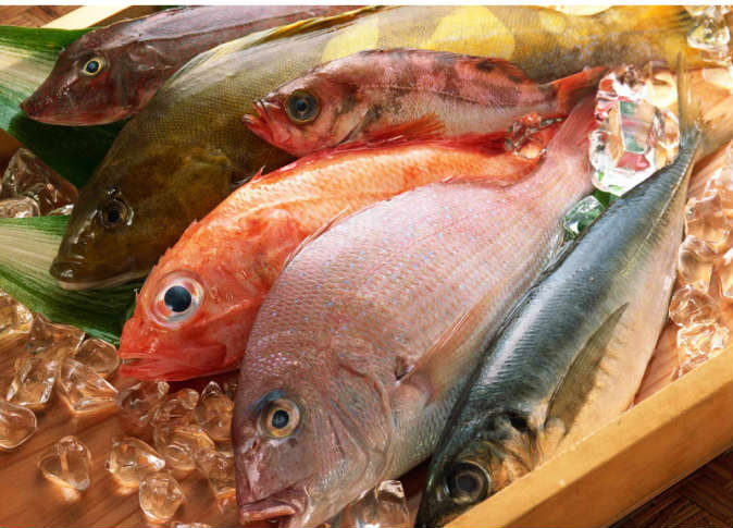 سعر السمك اليوم، الدليل المصري