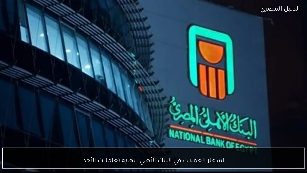 أسعار العملات في البنك الأهلي بنهاية تعاملات الأحد