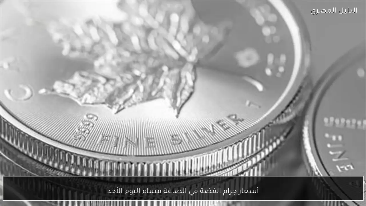 أسعار جرام الفضة في الصاغة مساء اليوم الأحد