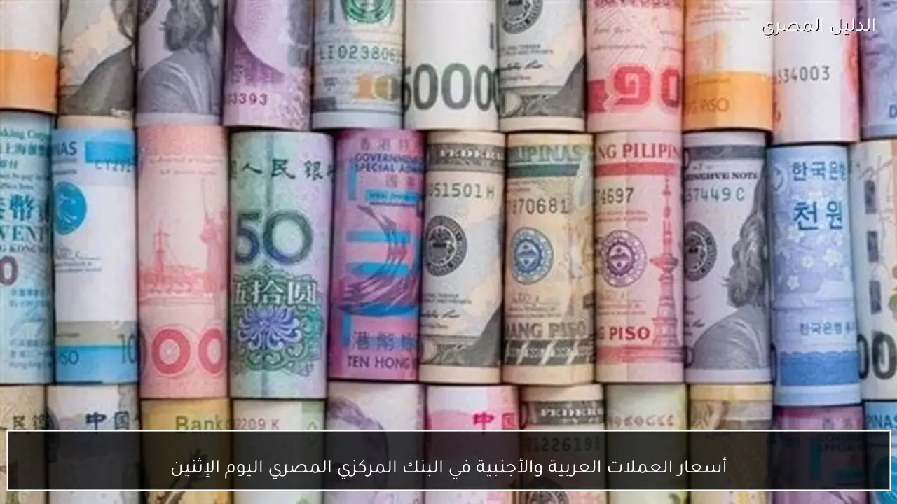 أسعار العملات العربية والأجنبية في البنك المركزي المصري اليوم الإثنين