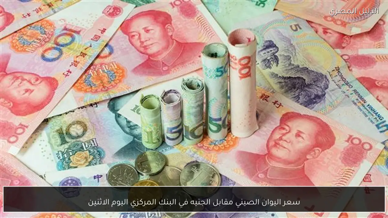 سعر اليوان الصيني مقابل الجنيه في البنك المركزي اليوم الاثنين