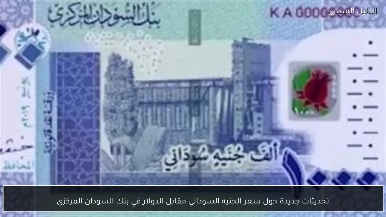 تحديثات جديدة حول سعر الجنيه السوداني مقابل الدولار في بنك السودان المركزي
