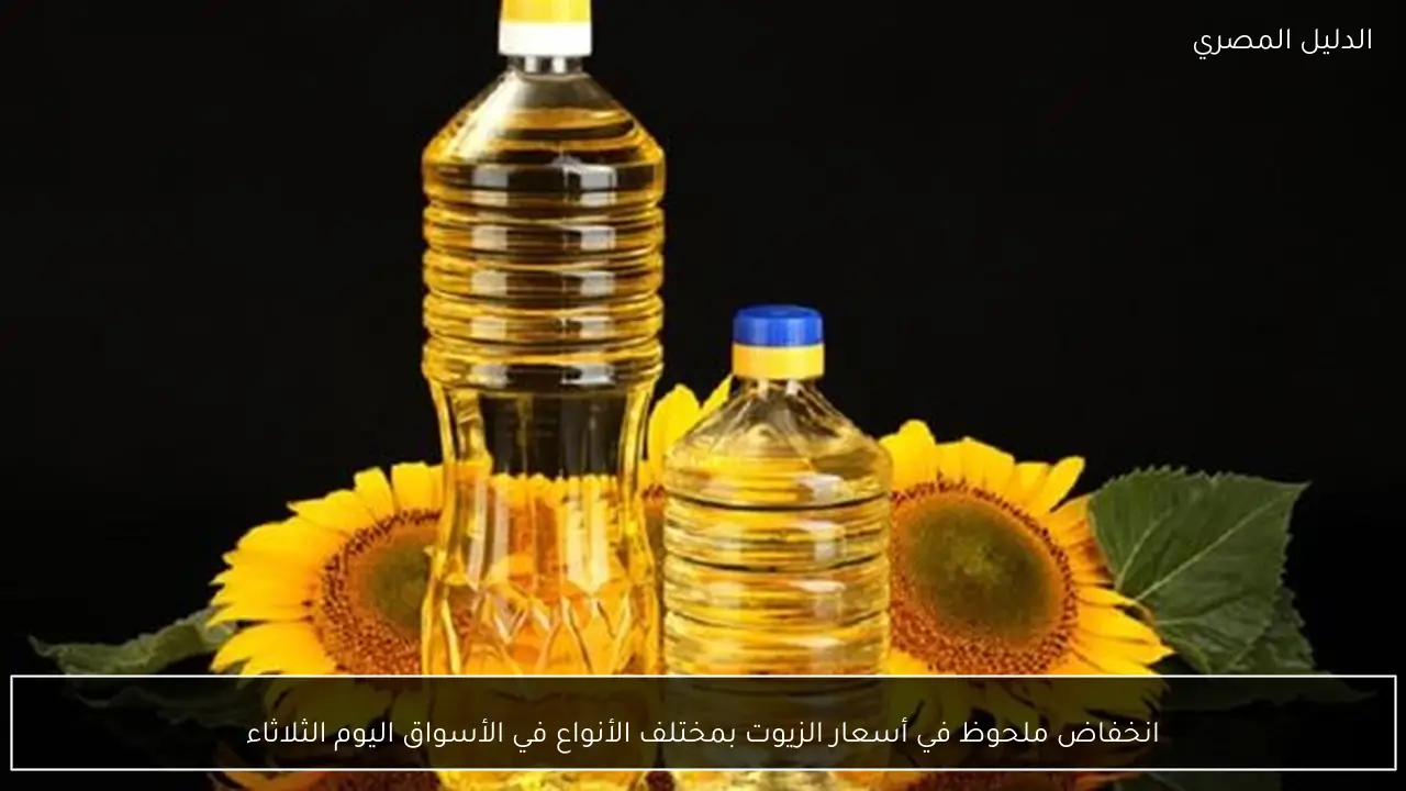 انخفاض ملحوظ في أسعار الزيوت بمختلف الأنواع في الأسواق اليوم الثلاثاء
