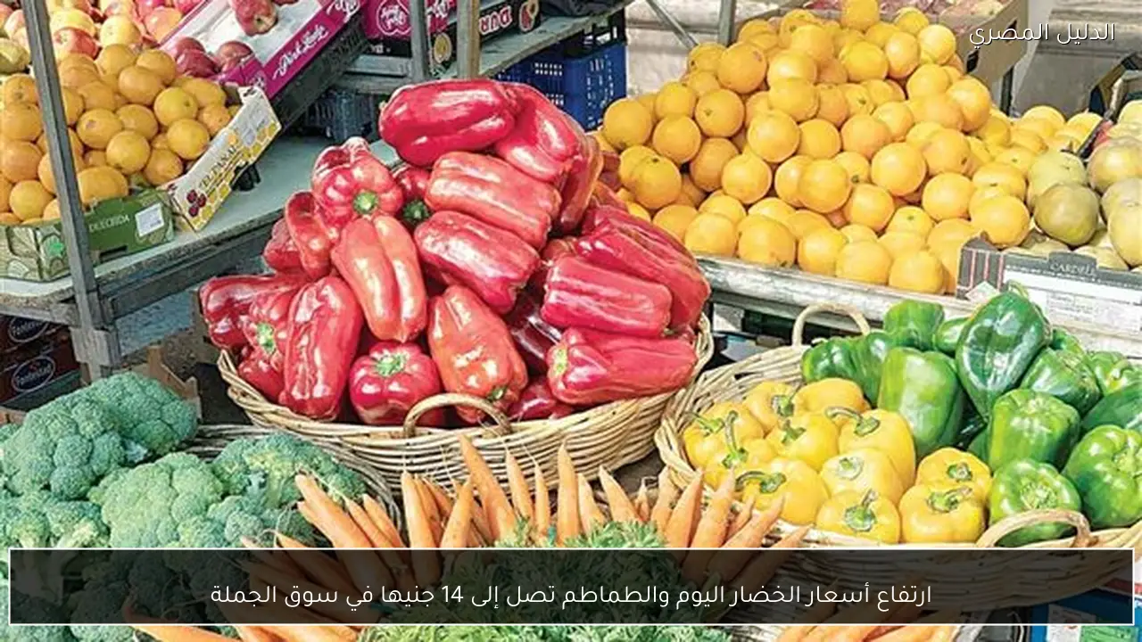 ارتفاع أسعار الخضار اليوم والطماطم تصل إلى 14 جنيها في سوق الجملة