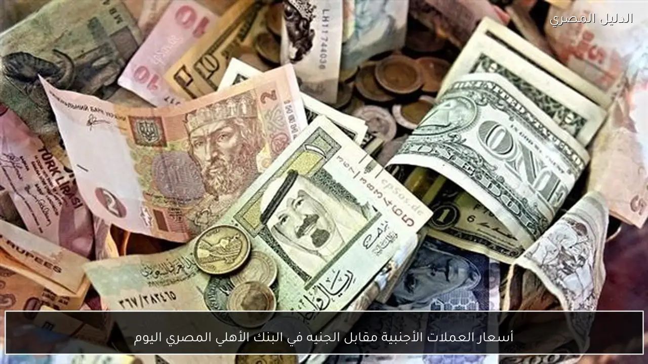أسعار العملات الأجنبية مقابل الجنيه في البنك الأهلي المصري اليوم