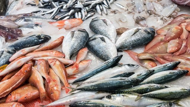 سعر السمك اليوم، الدليل المصري