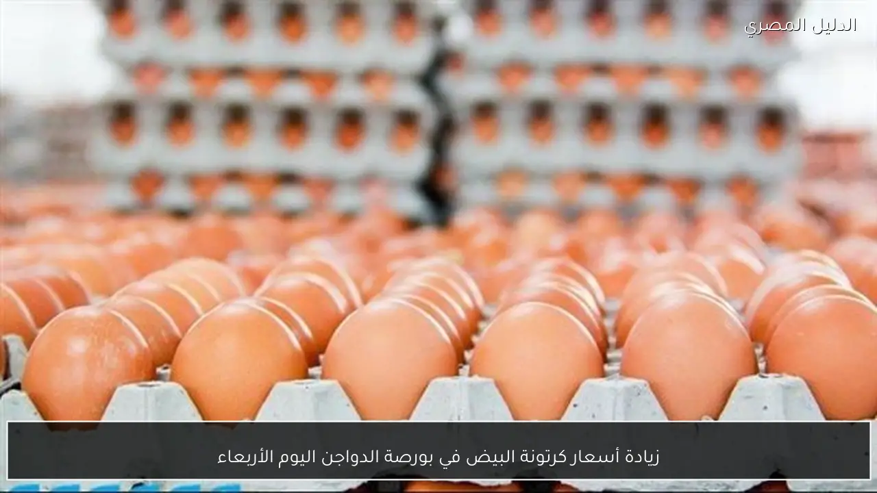 زيادة أسعار كرتونة البيض في بورصة الدواجن اليوم الأربعاء