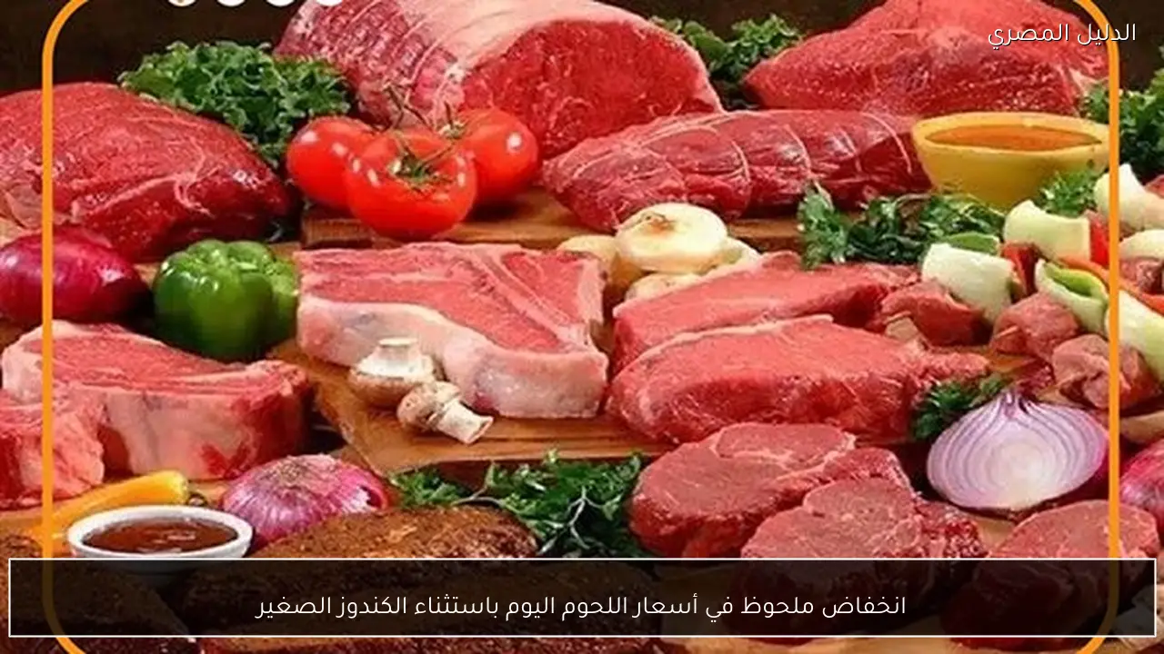 انخفاض ملحوظ في أسعار اللحوم اليوم باستثناء الكندوز الصغير
