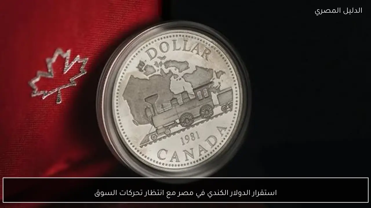 استقرار الدولار الكندي في مصر مع انتظار تحركات السوق