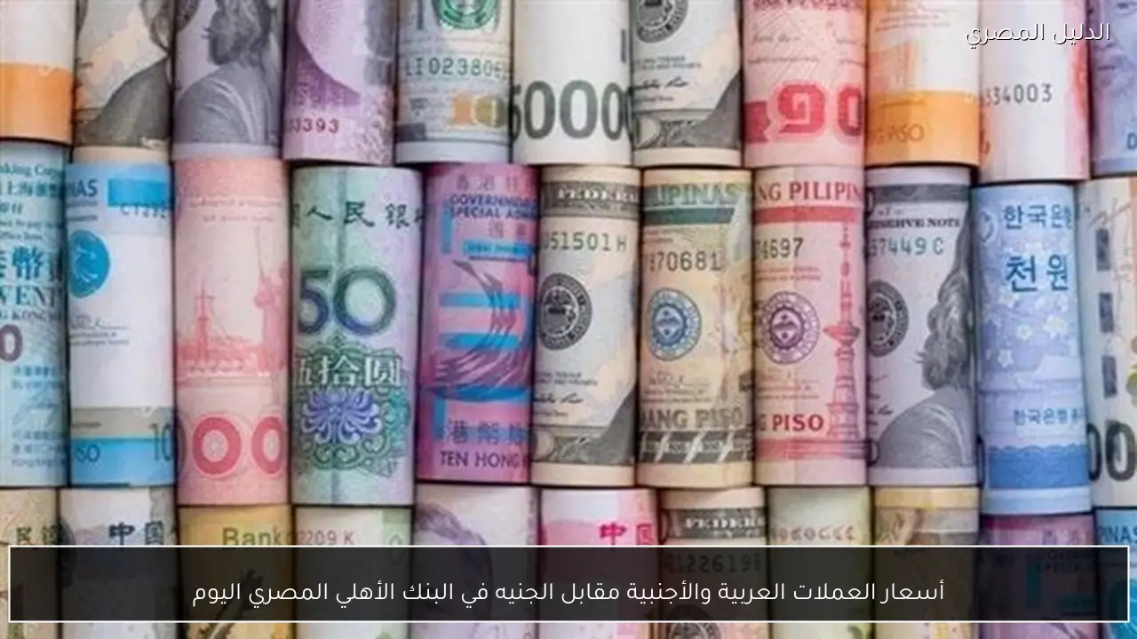 أسعار العملات العربية والأجنبية مقابل الجنيه في البنك الأهلي المصري اليوم