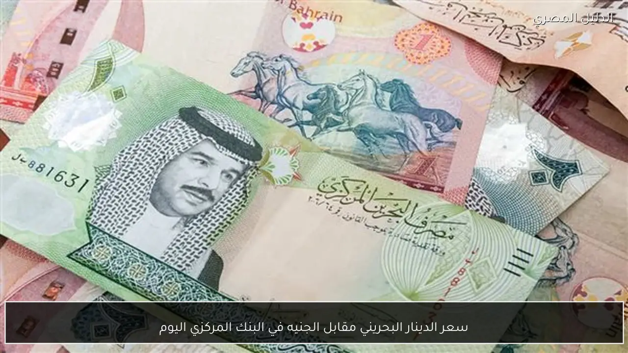 سعر الدينار البحريني مقابل الجنيه في البنك المركزي اليوم