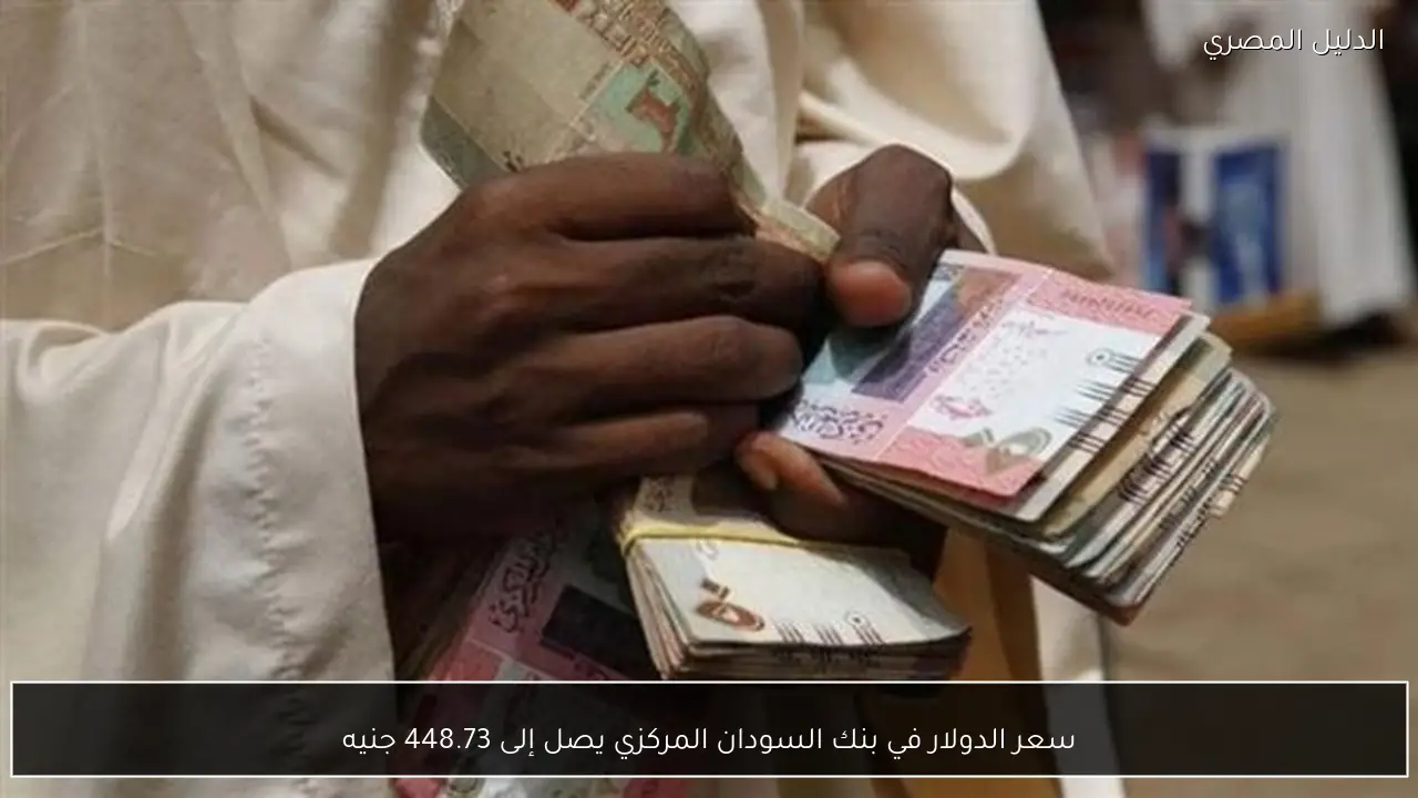 سعر الدولار في بنك السودان المركزي يصل إلى 448.73 جنيه