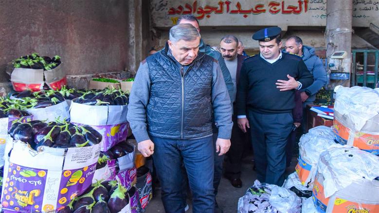 محافظ الإسكندرية خلال جولته 