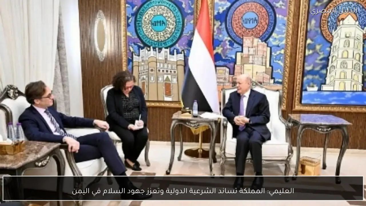 العليمي: المملكة تساند الشرعية الدولية وتعزز جهود السلام في اليمن