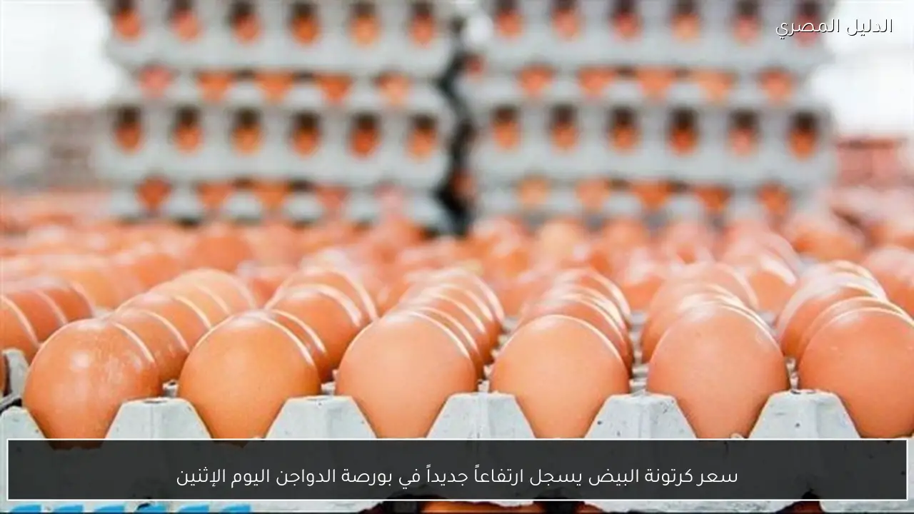 سعر كرتونة البيض يسجل ارتفاعاً جديداً في بورصة الدواجن اليوم الإثنين