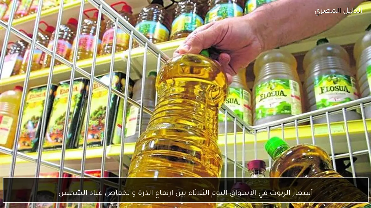 أسعار الزيوت في الأسواق اليوم الثلاثاء بين ارتفاع الذرة وانخفاض عباد الشمس