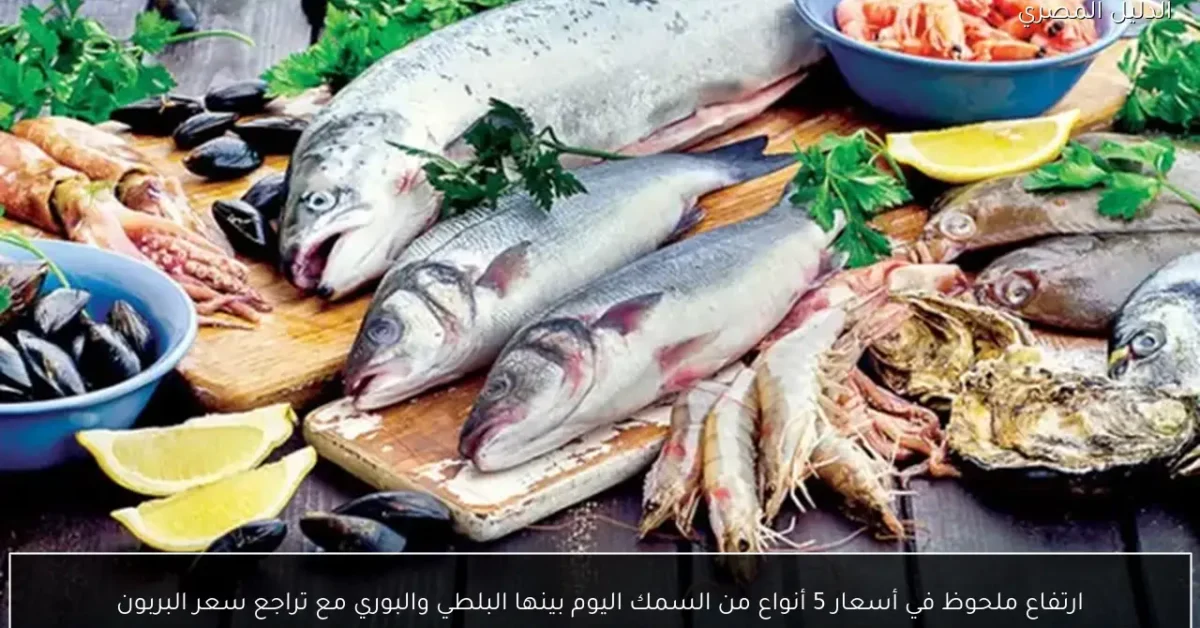 ارتفاع ملحوظ في أسعار 5 أنواع من السمك اليوم بينها البلطي والبوري مع تراجع سعر البربون