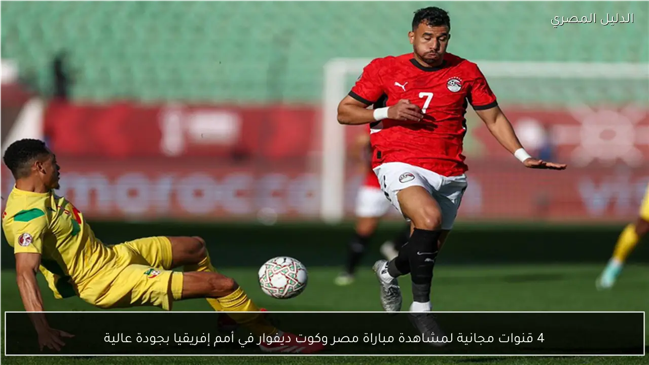 4 قنوات مجانية لمشاهدة مباراة مصر وكوت ديفوار في أمم إفريقيا بجودة عالية