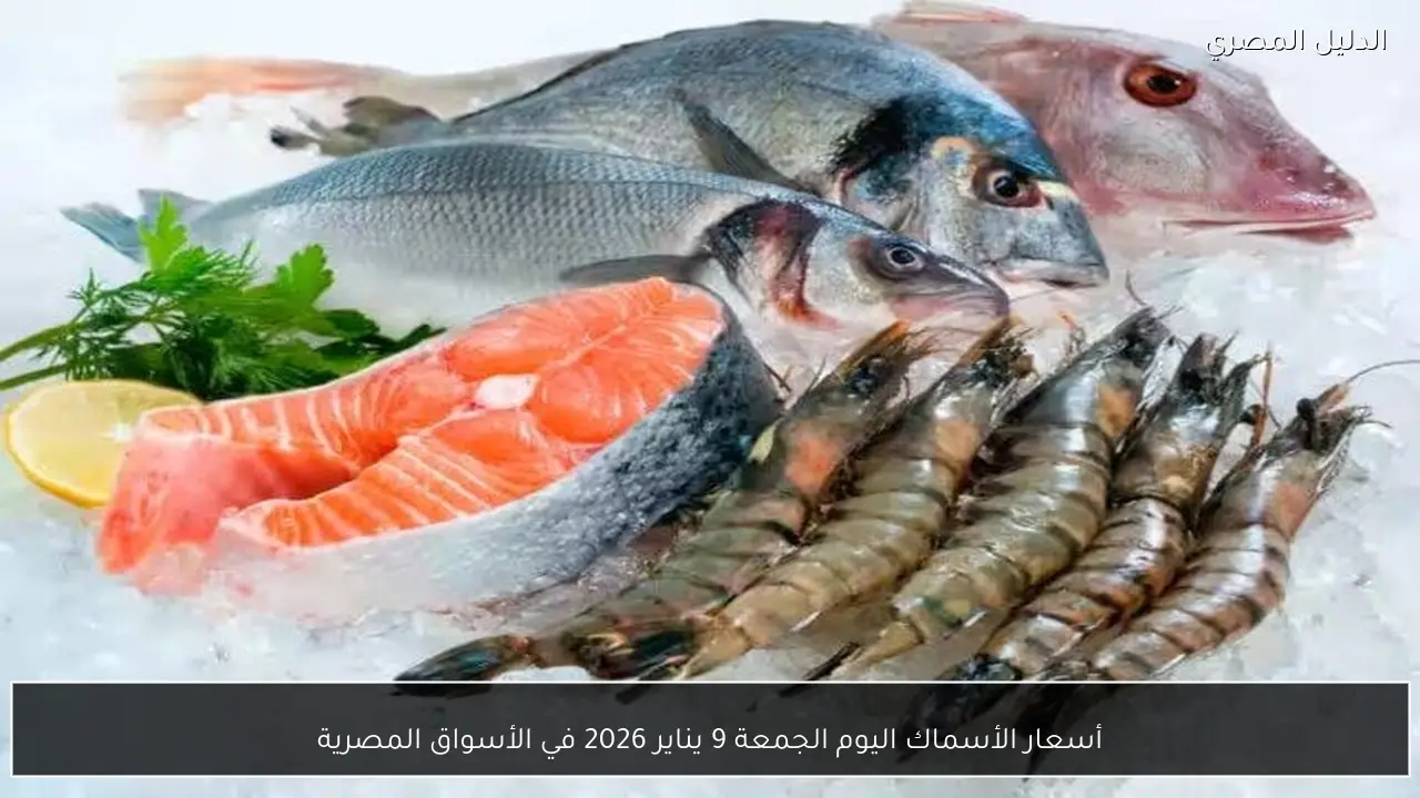 أسعار الأسماك اليوم الجمعة 9 يناير 2026 في الأسواق المصرية