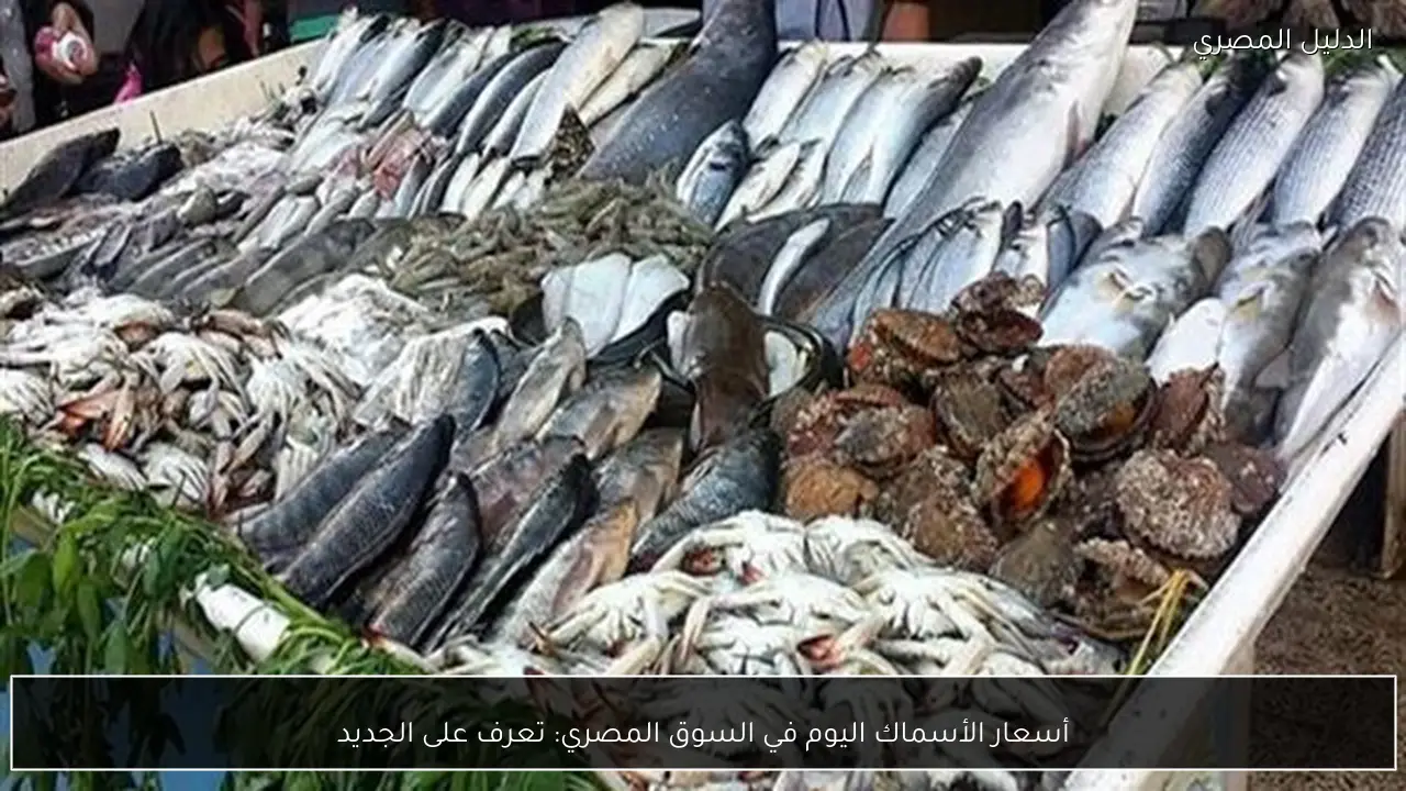 أسعار الأسماك اليوم في السوق المصري: تعرف على الجديد