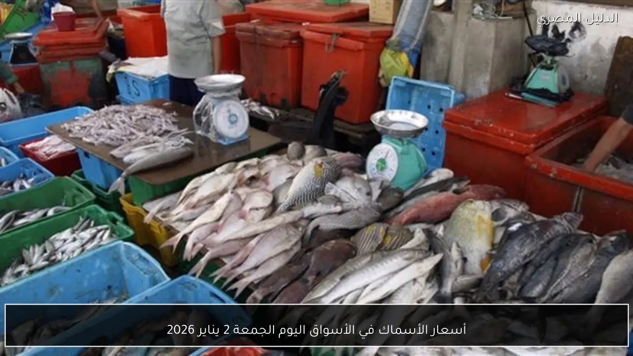 أسعار الأسماك في الأسواق اليوم الجمعة 2 يناير 2026