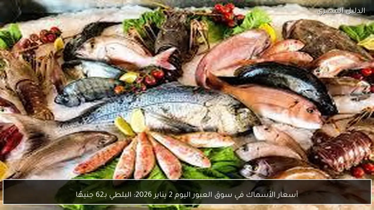 أسعار الأسماك في سوق العبور اليوم 2 يناير 2026: البلطي بـ62 جنيهًا