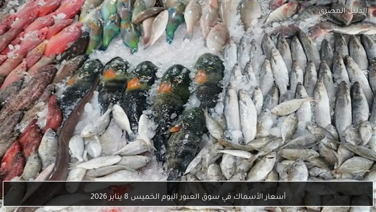 أسعار الأسماك في سوق العبور اليوم الخميس 8 يناير 2026