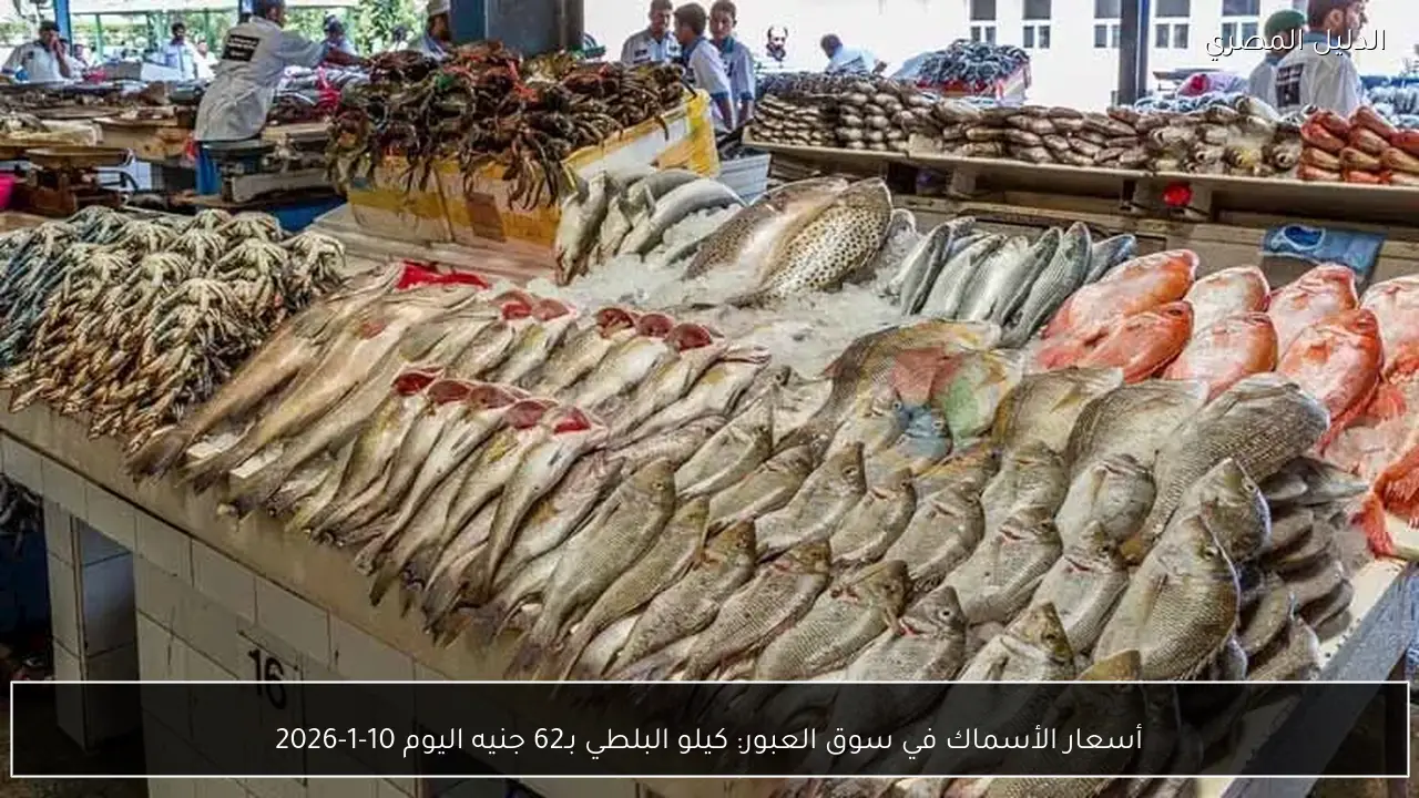 أسعار الأسماك في سوق العبور: كيلو البلطي بـ62 جنيه اليوم 10-1-2026