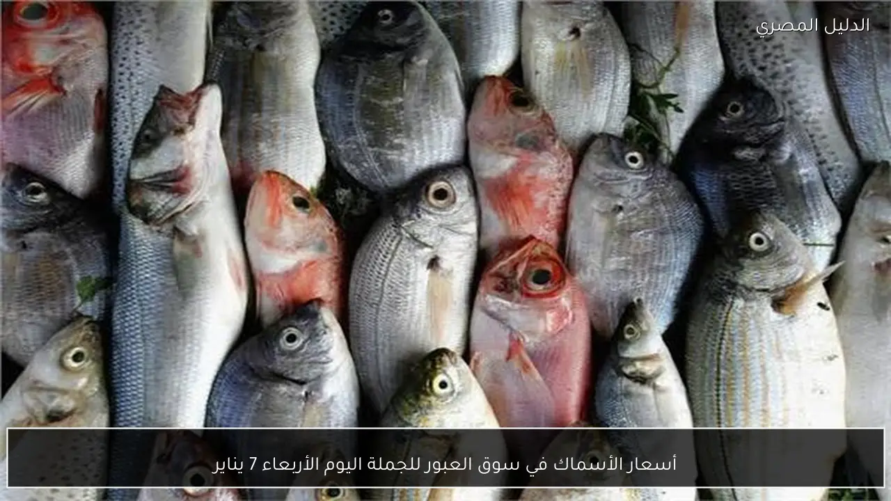 أسعار الأسماك في سوق العبور للجملة اليوم الأربعاء 7 يناير