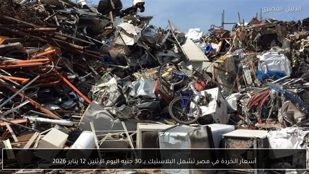 أسعار الخردة في مصر تشمل البلاستيك بـ 30 جنيه اليوم الإثنين 12 يناير 2026