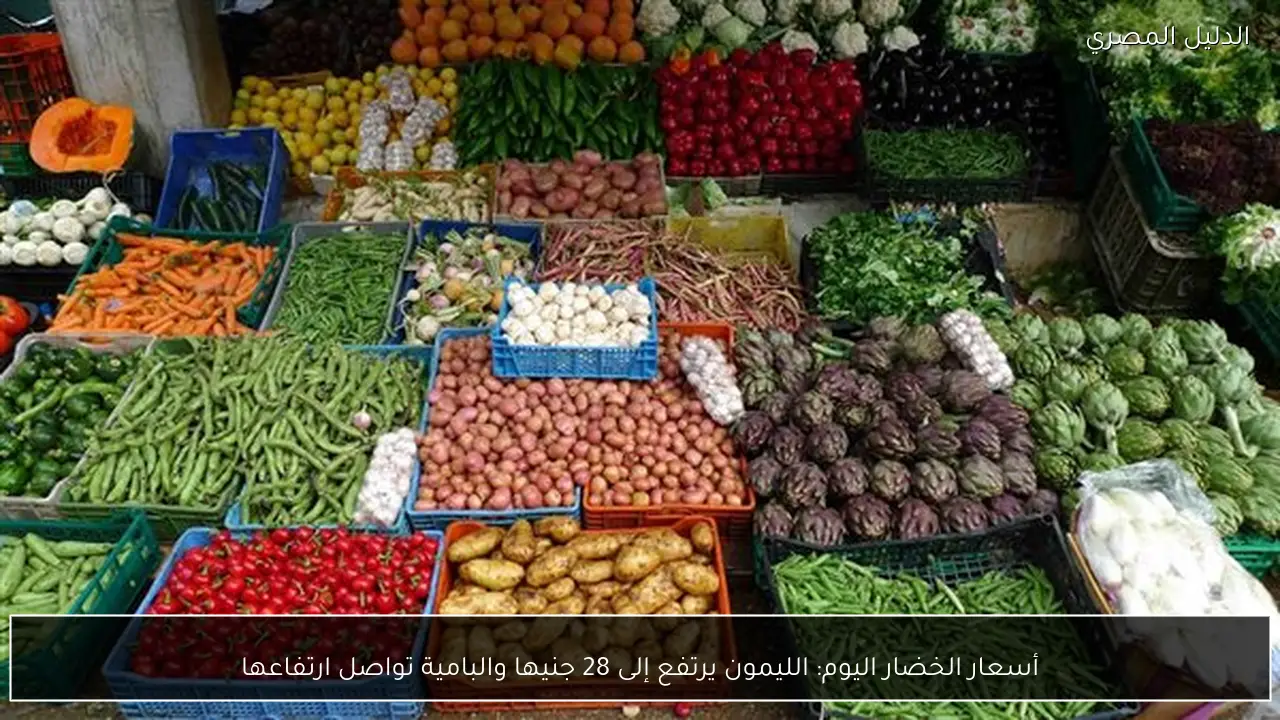 أسعار الخضار اليوم: الليمون يرتفع إلى 28 جنيها والبامية تواصل ارتفاعها