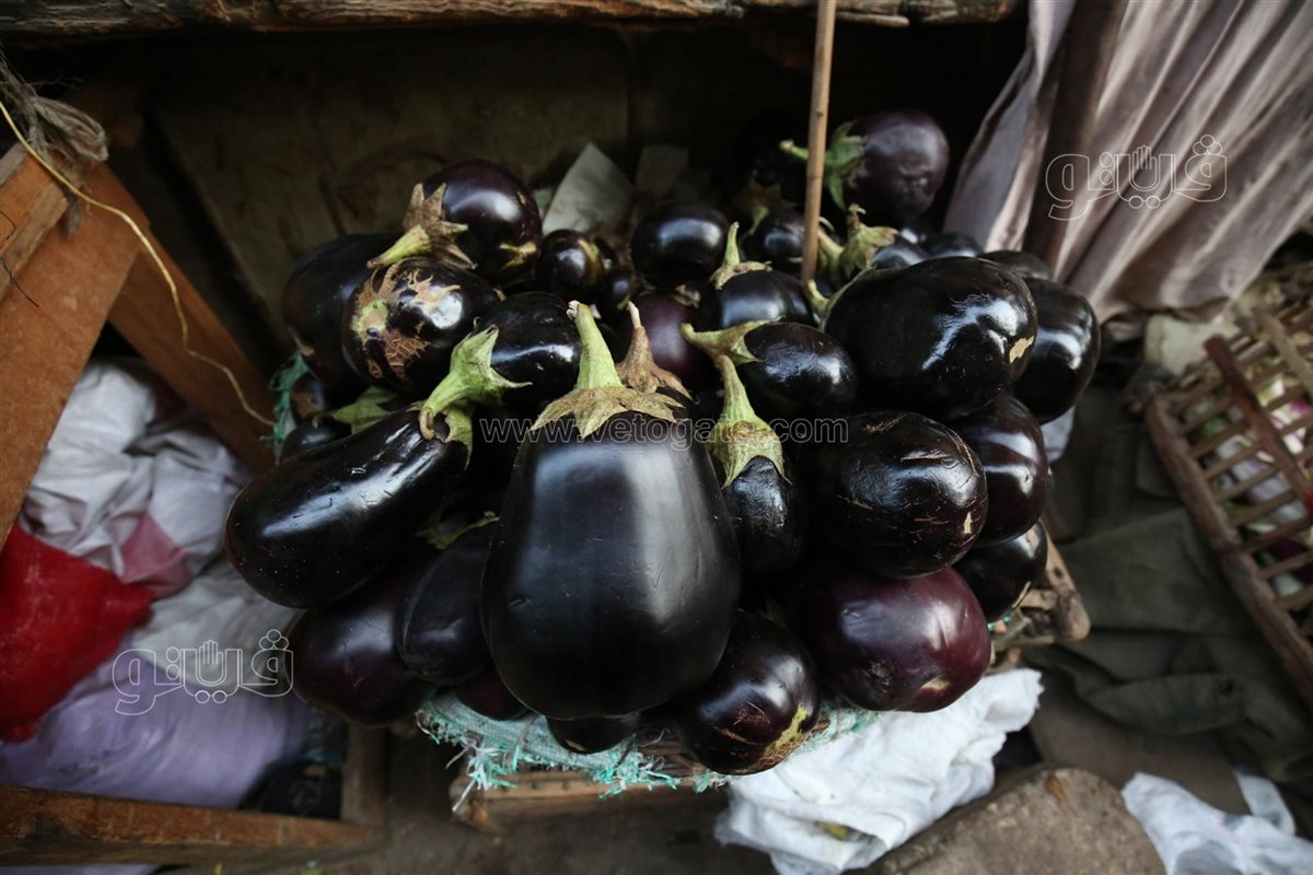 سعر الخضار اليوم، الدليل المصري