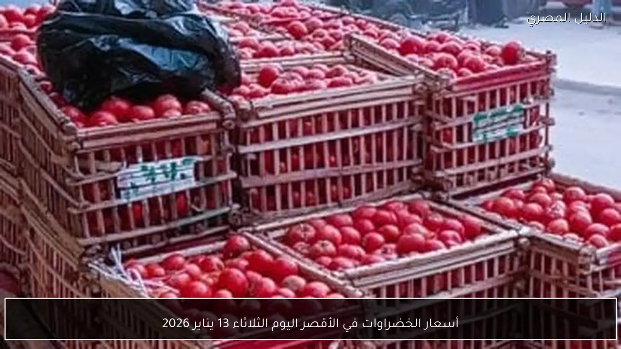 أسعار الخضراوات في الأقصر اليوم الثلاثاء 13 يناير 2026