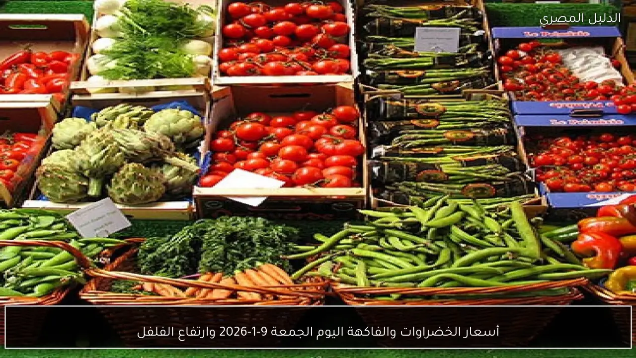 أسعار الخضراوات والفاكهة اليوم الجمعة 9-1-2026 وارتفاع الفلفل