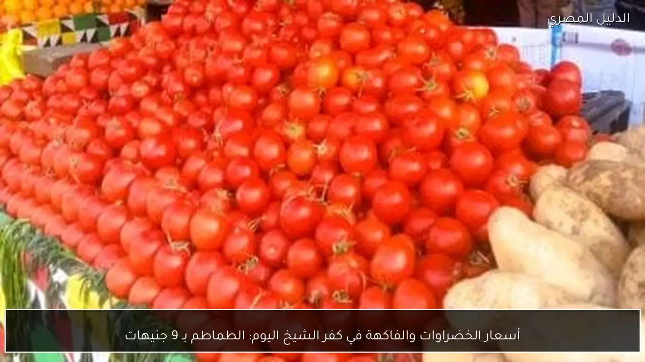 أسعار الخضراوات والفاكهة في كفر الشيخ اليوم: الطماطم بـ 9 جنيهات