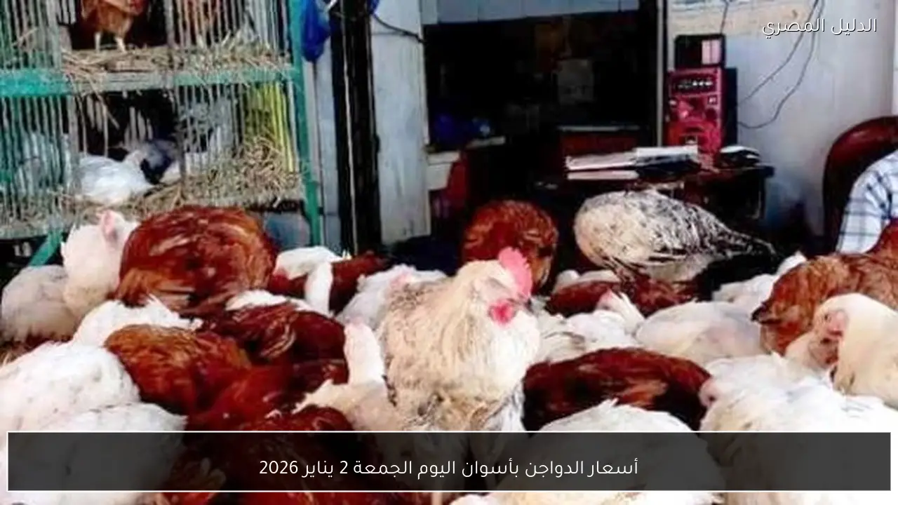 أسعار الدواجن بأسوان اليوم الجمعة 2 يناير 2026
