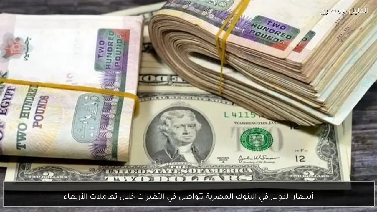 أسعار الدولار في البنوك المصرية تتواصل في التغيرات خلال تعاملات الأربعاء