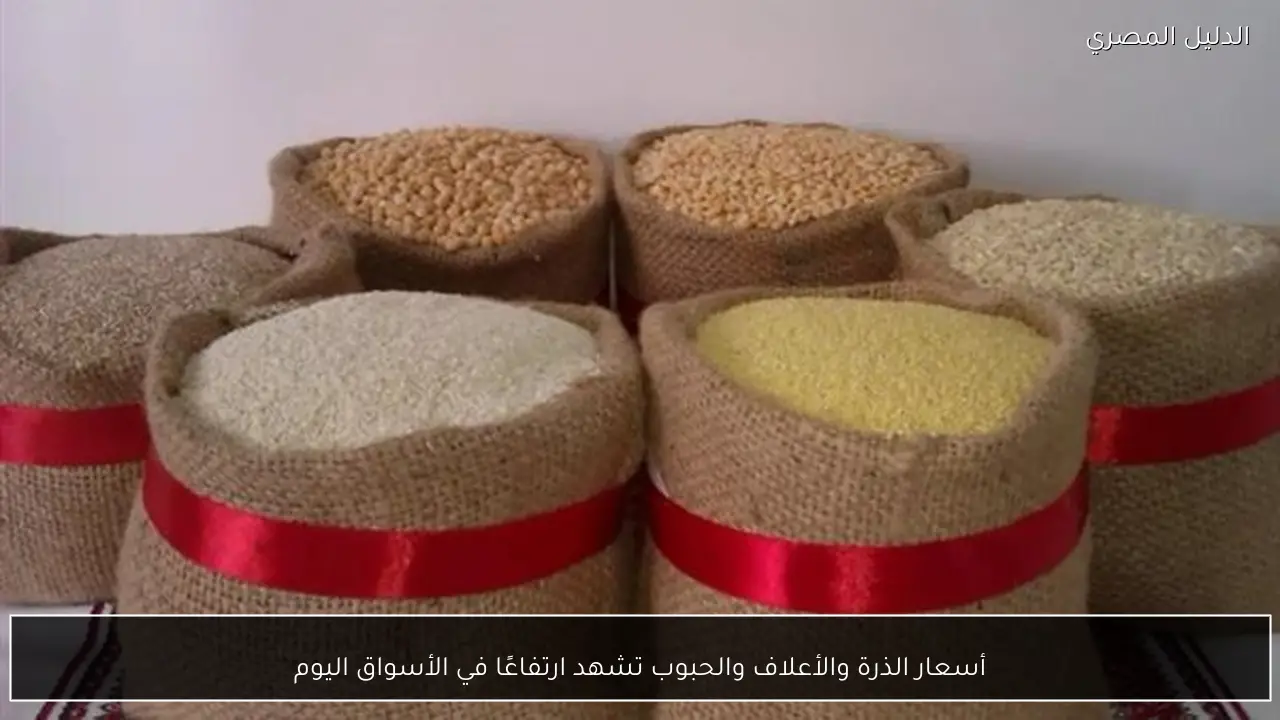 أسعار الذرة والأعلاف والحبوب تشهد ارتفاعًا في الأسواق اليوم