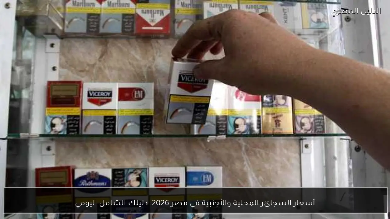 أسعار السجائر المحلية والأجنبية في مصر 2026: دليلك الشامل اليومي