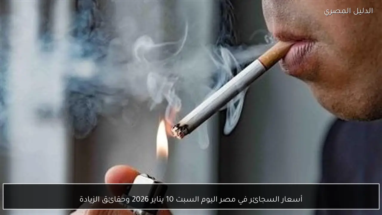 أسعار السجائر في مصر اليوم السبت 10 يناير 2026 وحقائق الزيادة