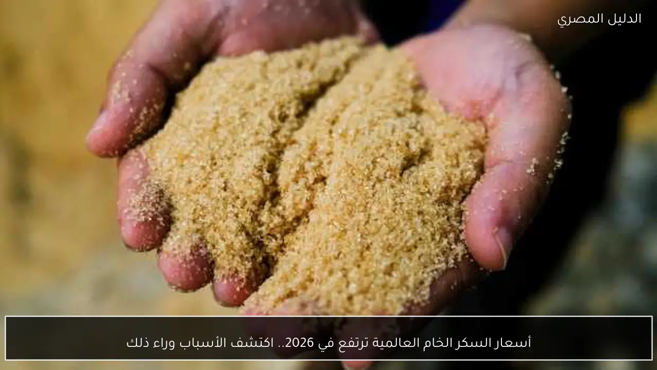 أسعار السكر الخام العالمية ترتفع في 2026.. اكتشف الأسباب وراء ذلك